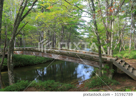 初秋的Senjogahara自然研究道路（從赤羽橋看到的Yukawa） 31592789