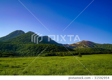 帶上沼地 31592954