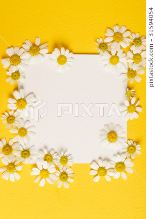 daisy flowers on the paper card 31594054