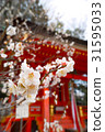 Kitano Tenmangu Shirmemei 31595033