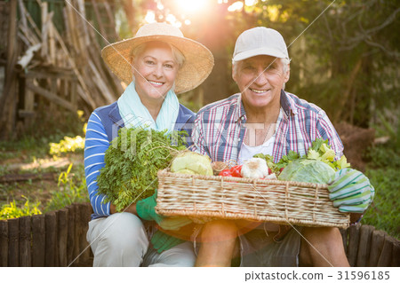 Portrait of mature couple carrying vegetables crate at garden Portrait of mature couple carrying vegetables crate at garden 31596185