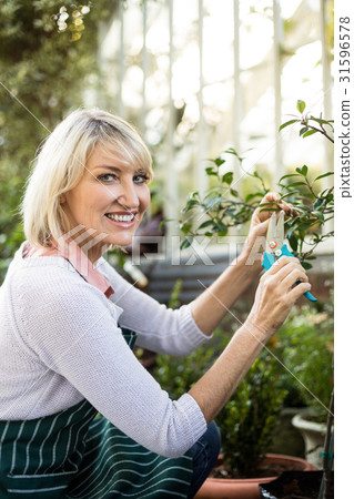 Portrait of female gardener pruning plants 31596578