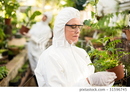 Female scientist in clean suit examining potted plant Female scientist in clean suit examining potted plant 31596745