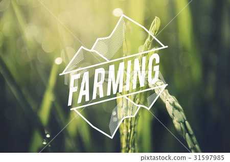 Alternative Farming Sustainable Nature Concept 31597985
