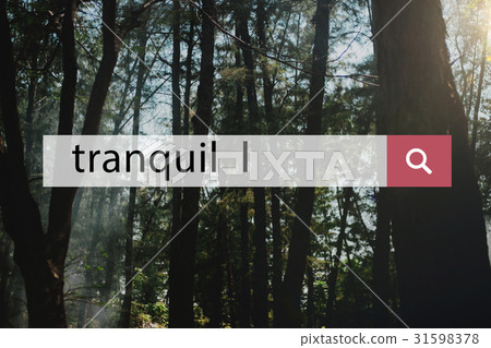 Tranquil forest network connection graphic Tranquil forest network connection graphic 31598378