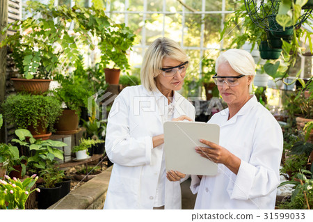 Female coworkers looking in clipboard at greenhouse Female coworkers looking in clipboard at greenhouse 31599033