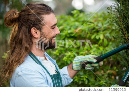 Happy gardener using hedge clippers at communicty garden Happy gardener using hedge clippers at communicty garden 31599913