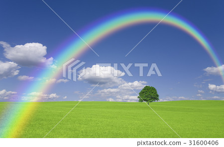Ichigi在草原,雲彩和彩虹 Ichigi在草原,雲彩和彩虹 31600406