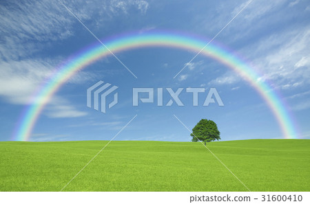 Ichigi in the prairie, clouds and a rainbow Ichigi in the prairie, clouds and a rainbow 31600410