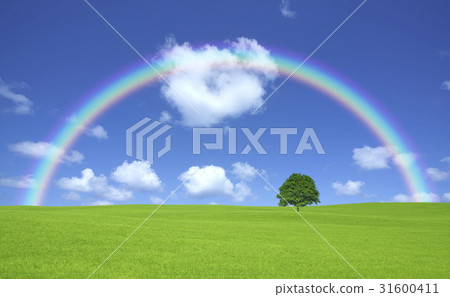 Ichigi在草原，雲彩和彩虹 31600411