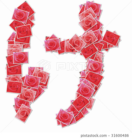 Characters of hiragana with rose flowers 31600486