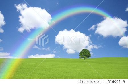 Ichigi在草原，雲彩和彩虹 31600549