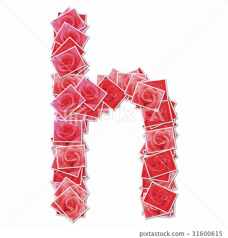 Rose flowers and lower case letters of the alphabet Rose flowers and lower case letters of the alphabet 31600615