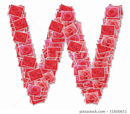 Rose flowers capital letters of the alphabet 31600651