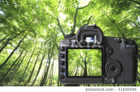 Digital camera's LCD monitor 31600946