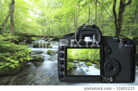 數碼相機的液晶顯示器 31601225