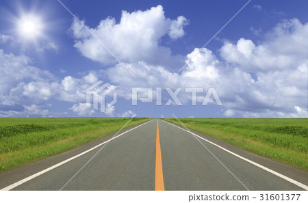Prairie straight road and clouds and sun 31601377
