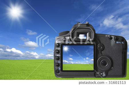 Digital camera's LCD monitor 31601513