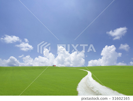 White road following the red roof house White road following the red roof house 31602165