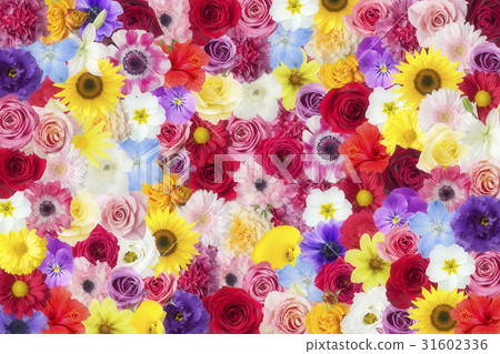 Flower garden Flower garden 31602336