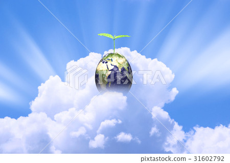 Ecology Ecology 31602792