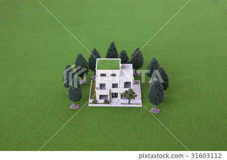 兩個家庭的房子 31603112