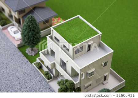 兩個家庭的房子 31603431