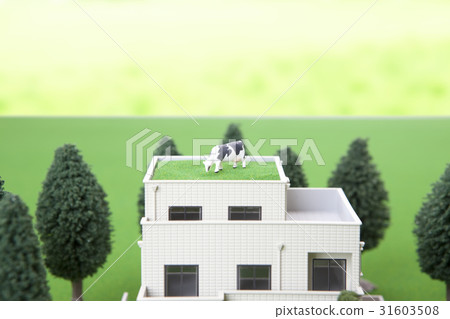 A house 31603508