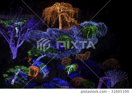 Morning Calm Arboretum, Gapyeong-gun, Gyeonggi-do Morning Calm Arboretum, Gapyeong-gun, Gyeonggi-do 31605109