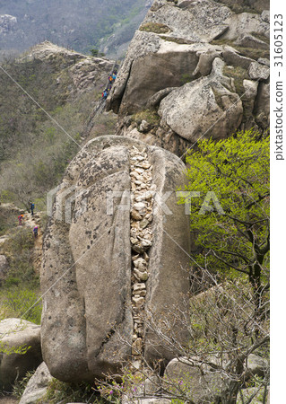 全羅南道靈巖郡Wolchulsan 31605123