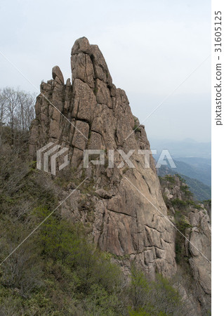 全羅南道靈巖郡Wolchulsan 31605125