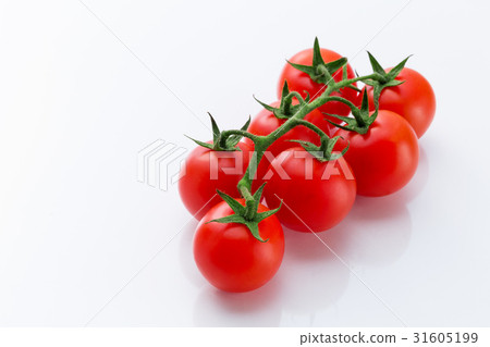 Mini Tomato Mini Tomato 31605199