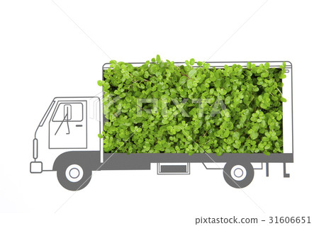 Eco-truck delivery image of Kiri 31606651