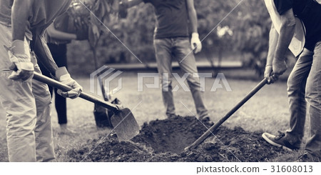Group of Diverse People Digging Hole Planting Tree Together 31608013