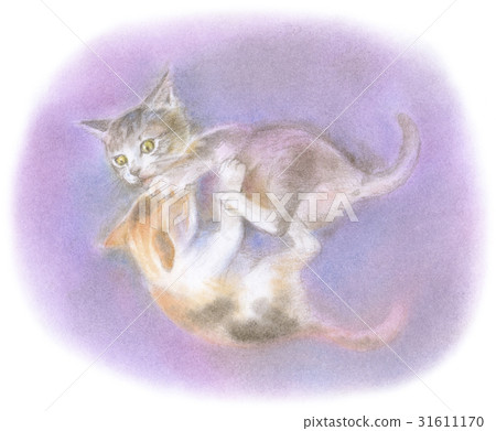 弟弟和妹妹小貓 31611170