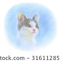 A kitten 31611285