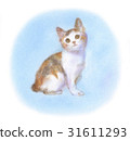 Japanese Bobtail 31611293