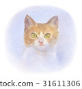 Nose white tea tiger 31611306