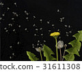 Dandelion seeds carried by the wind in the night sky 31611308