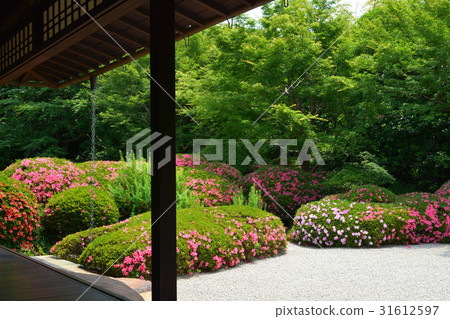 Joshanen Poetry Izumikaku South garden 31612597