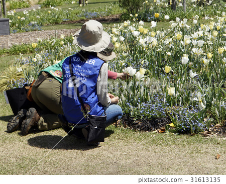 在公園管理中做志願者 31613135