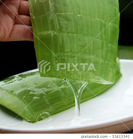 aloe vera gel 31613341