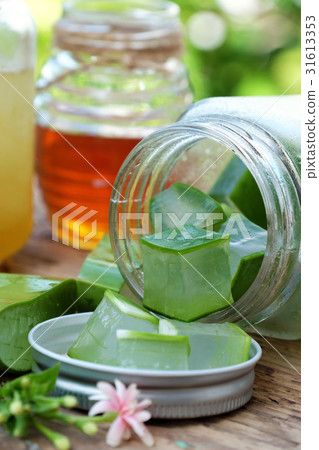 aloe vera, honey for skin care 31613353