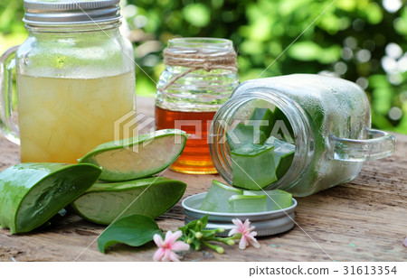 aloe vera, honey for skin care 31613354