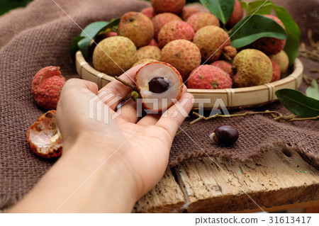 Vai thieu Vietnam, lychee fruits Vai thieu Vietnam, lychee fruits 31613417