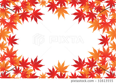 秋天的樹葉 秋天的樹葉 31613555