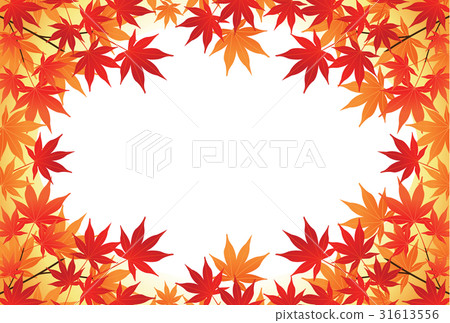 秋天的樹葉背景 31613556
