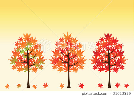 秋天的樹葉 31613559
