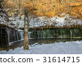 Kitakaruizawa Shiraito Falls 31614715