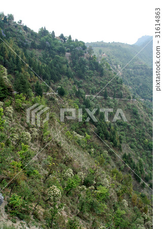 Mountain Slope 31614863